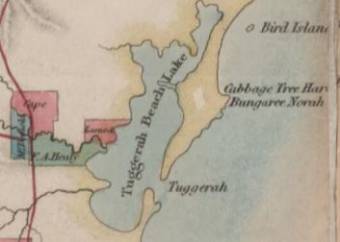 Map of Cabbage Tree Bay and Bungaree Norah - from Map of the Colony of NSW by Robert Dixon - National Library Australia