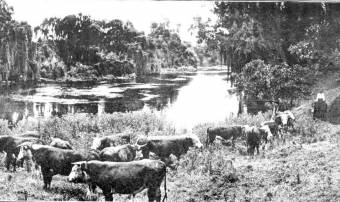 Duninald River Front c. 1907