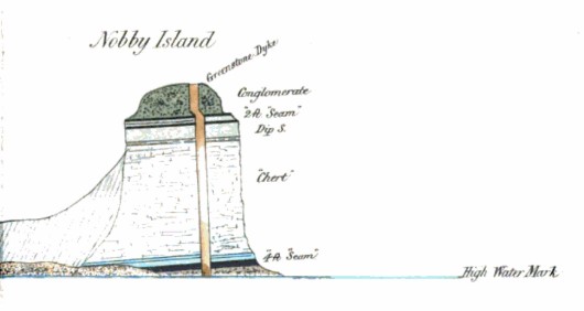 On the Coal Fields of NSW