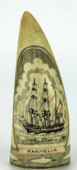  Whale tooth scrimshaw 'Parmelia' by Jesper Rasmussen depicting the ship Parmelia, with a banding of dolphins to the base, inscribed to verso 'Built at Quebec 1825 Swan River 1829, Jesper 1984, Albany'.